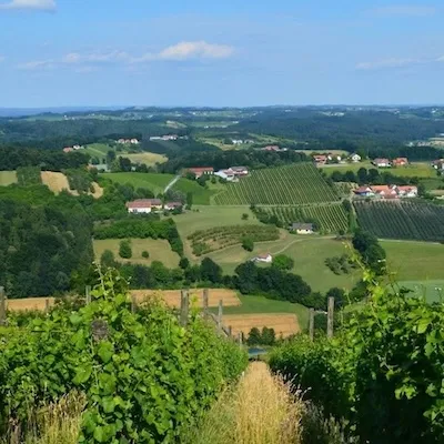 Pagórkowaty krajobraz styryjskiej wsi z polami i winnicami.
